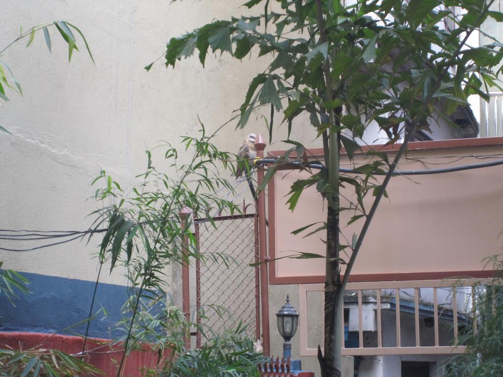 Tasi Dhargey Inn Kathmandu Ngoại thất bức ảnh