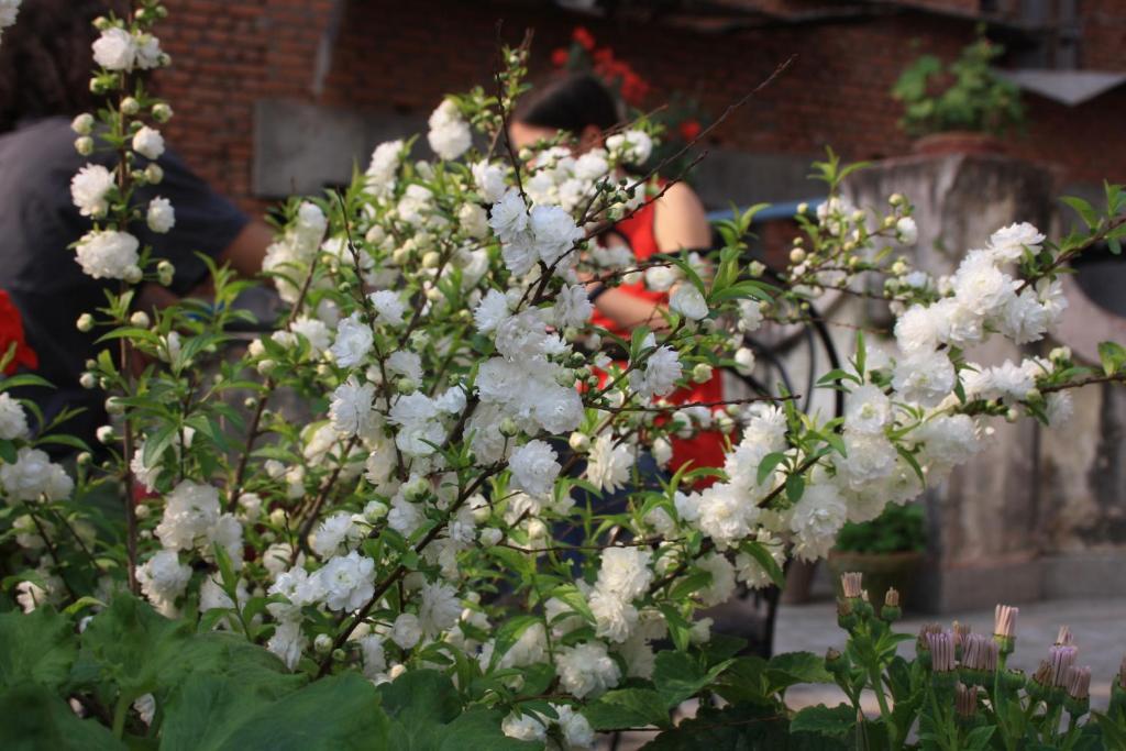 Tasi Dhargey Inn Kathmandu Ngoại thất bức ảnh